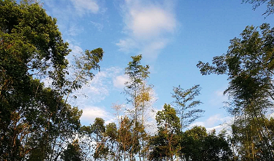 宁夏绿色制造体系加速成型 65家国家级绿色工厂引领产业低碳转型?